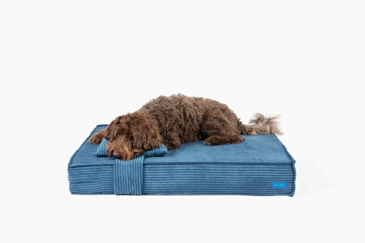 Orthopedic Pet Bed