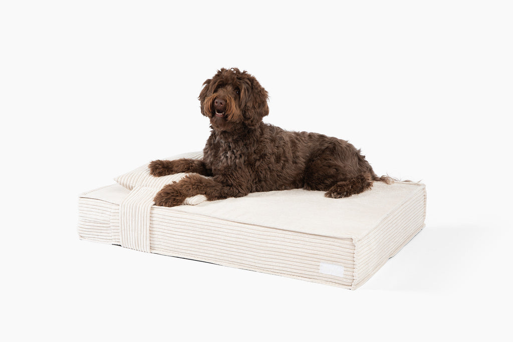 Orthopedic Pet Bed